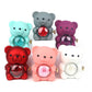Eternal Rose Teddy Bear Jewelry Box & Name Necklace